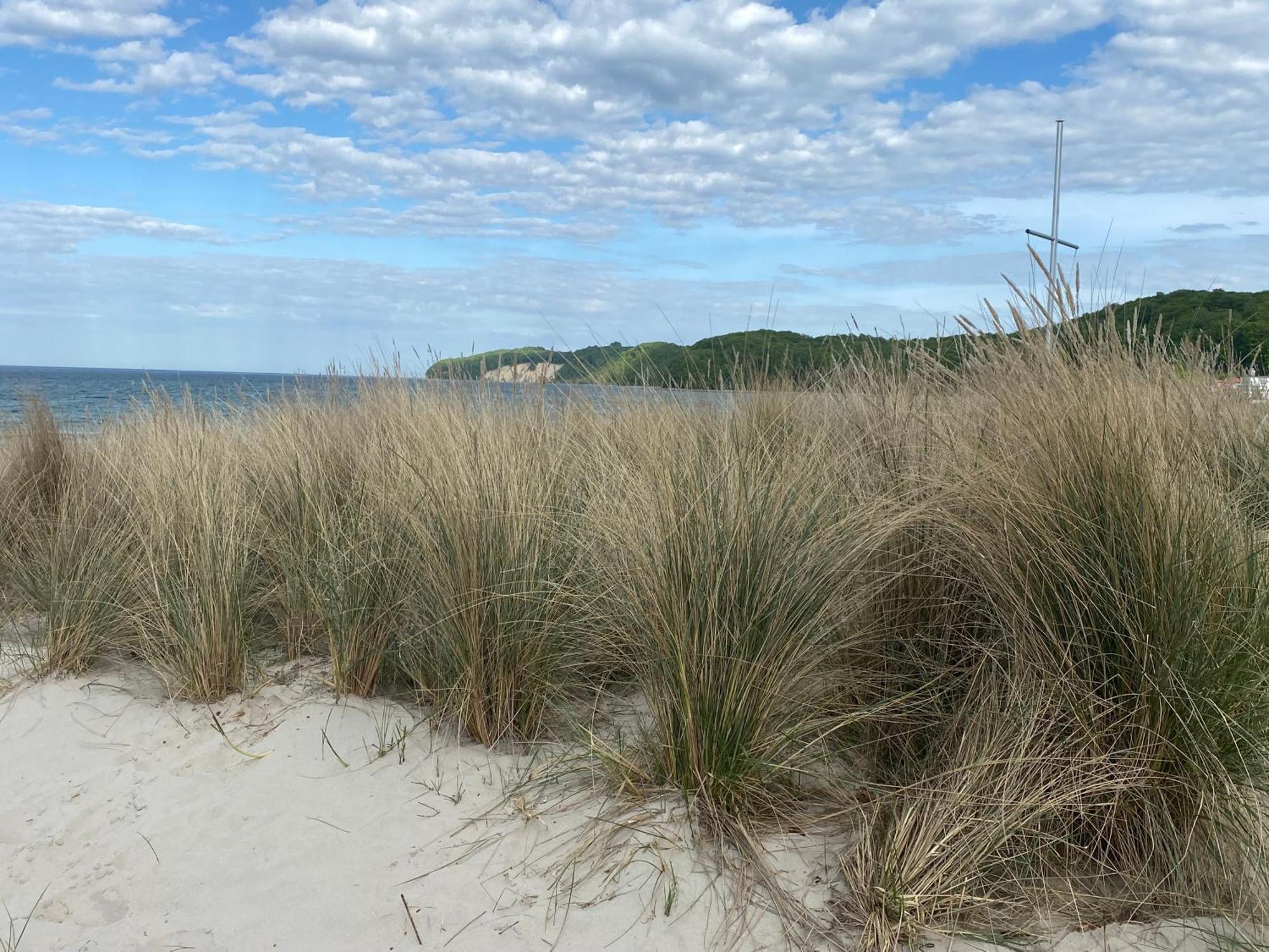 Apartment Ostseebrise Im Ferienpark Sagard Eksteriør billede